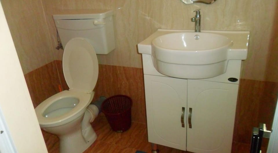 Shower, towels, toilet paper
