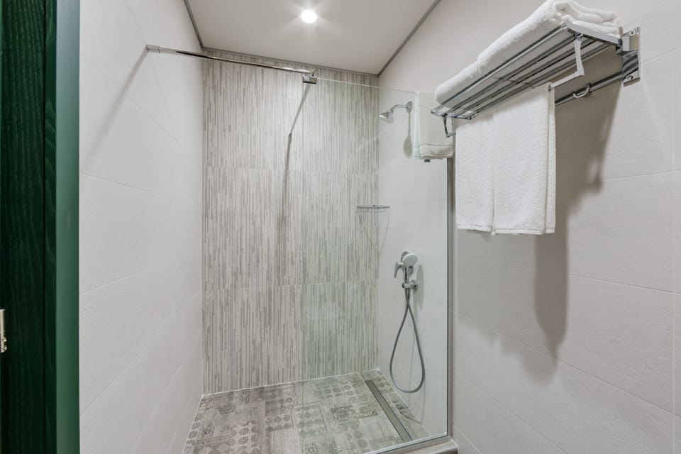 Standard Double or Twin Room | Bathroom | Shower, hydromassage showerhead, free toiletries, hair dryer