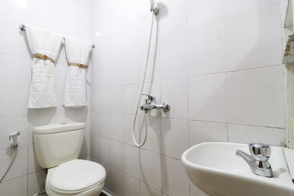 Deluxe Double Room | Bathroom | Shower, towels, soap, shampoo