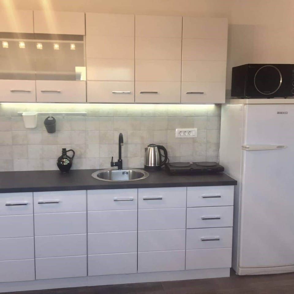 City Apartment, Mountain View | Private kitchen | Full-size fridge, stovetop, coffee/tea maker, electric kettle