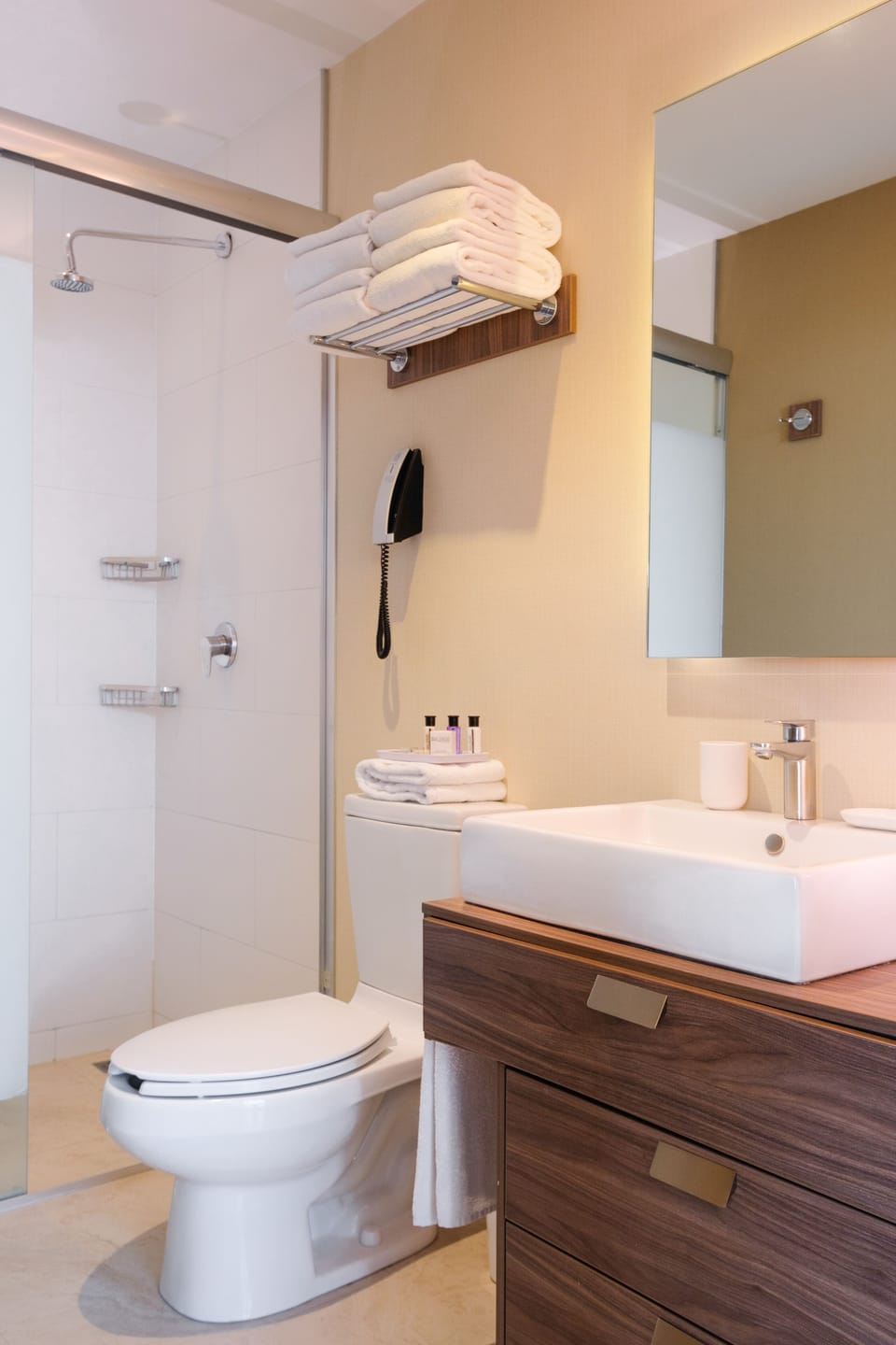The View Hotel By Covalia Apartment hotel in San Luis Potosi