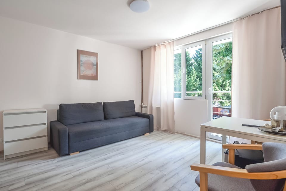 Apartment, 1 Bedroom | Living room | TV