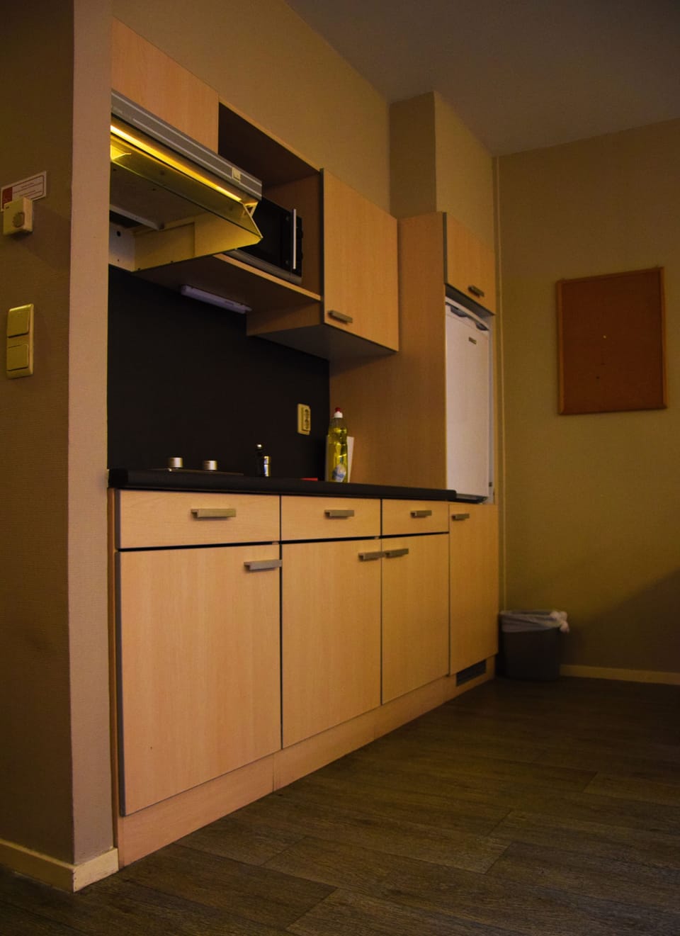 Grand Studio | Private kitchenette | Fridge, microwave, coffee/tea maker, electric kettle