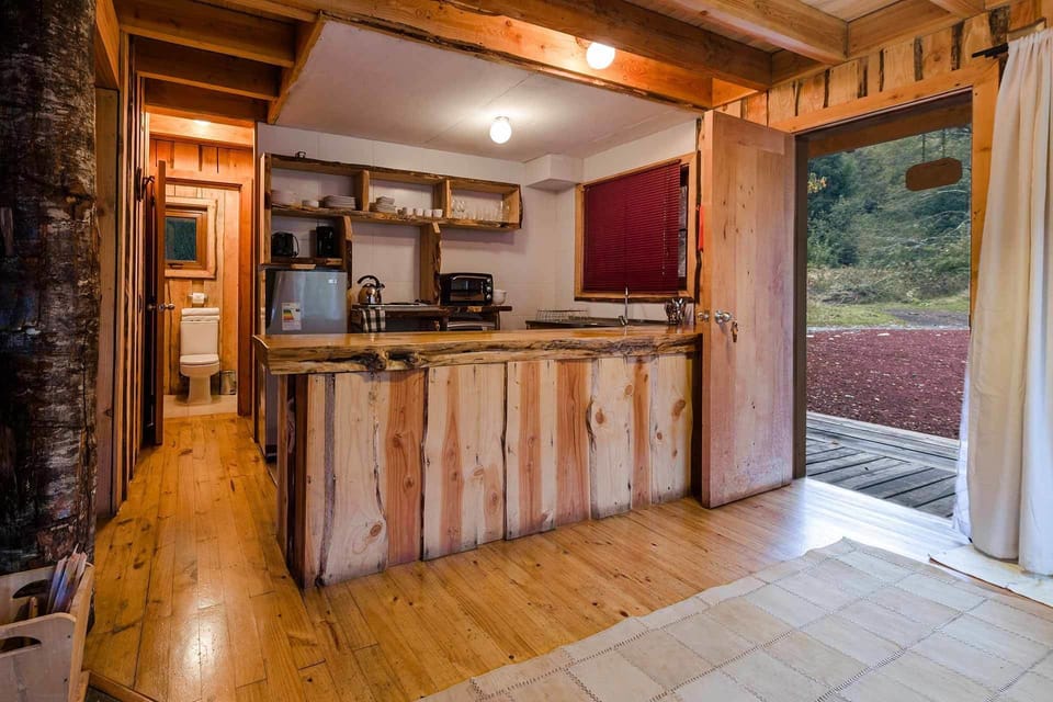 Full-size fridge, microwave, oven, stovetop