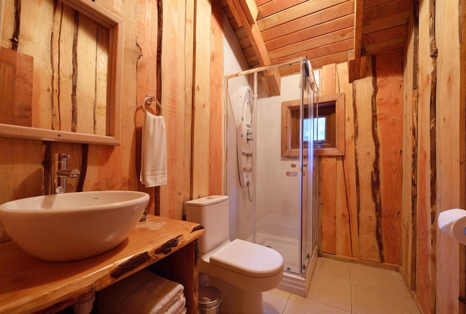 Cabin (2 People) | Bathroom | Shower, rainfall showerhead, towels, toilet paper