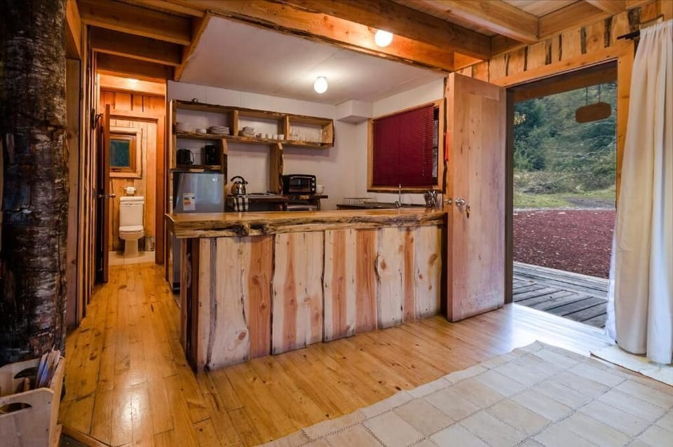 Full-size fridge, microwave, oven, stovetop