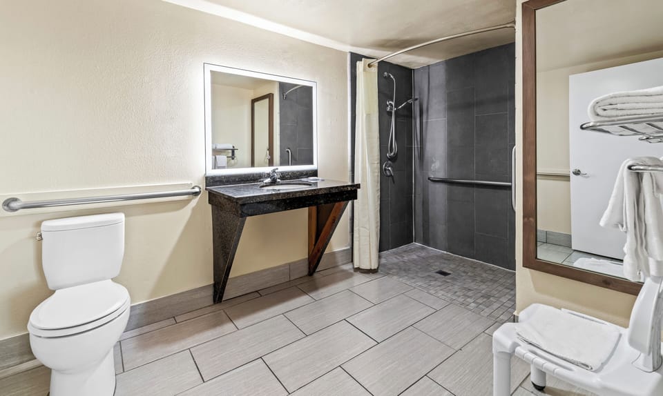 Room, 1 King Bed, Accessible, Non Smoking | Bathroom | Combined shower/tub, free toiletries, hair dryer, towels