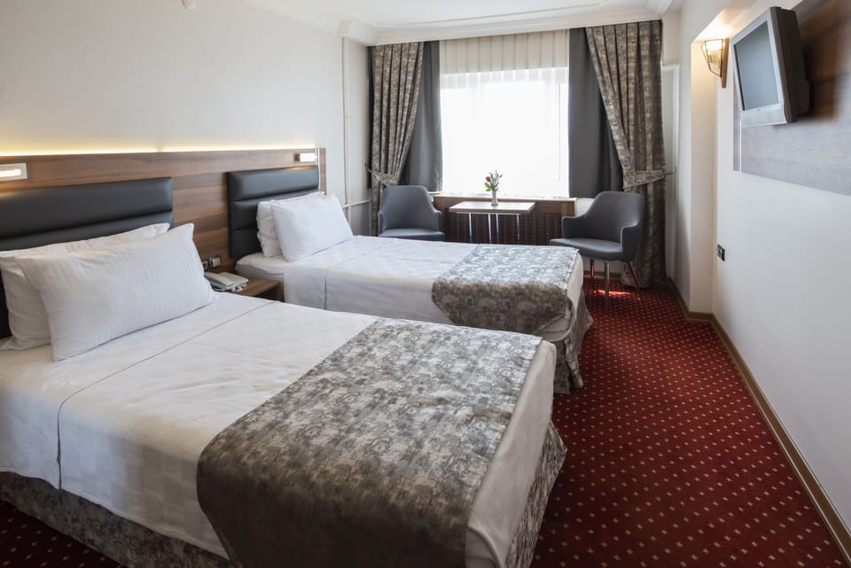 Standard Double or Twin Room | Minibar, blackout drapes, iron/ironing board, free WiFi