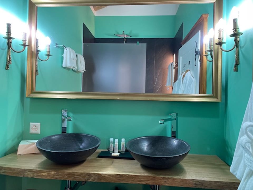 Deluxe Double Room | Bathroom | Separate tub and shower, free toiletries, hair dryer, bathrobes