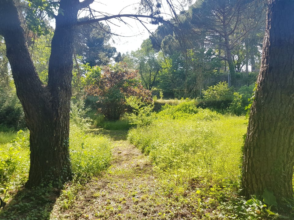 Mas des Ballats Bed and Breakfast in Occitanie