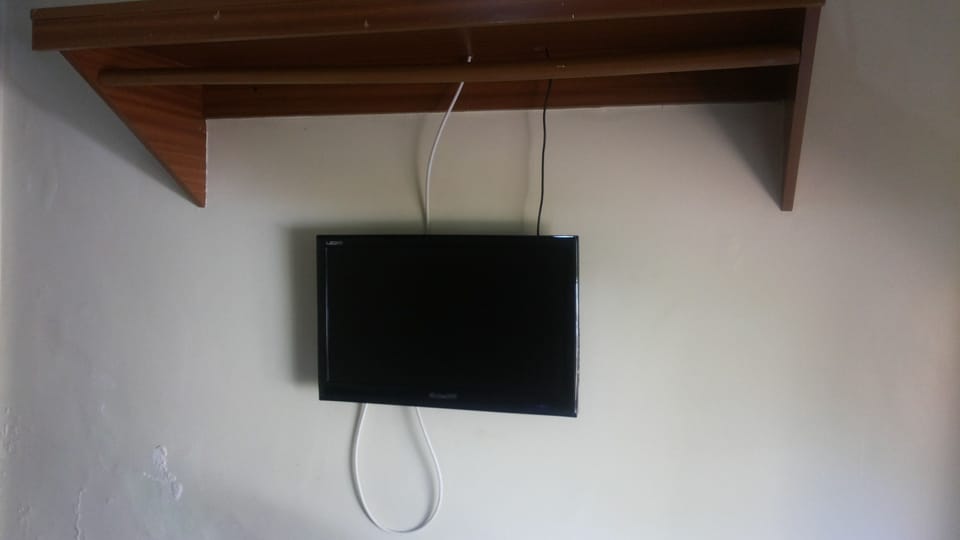 Television