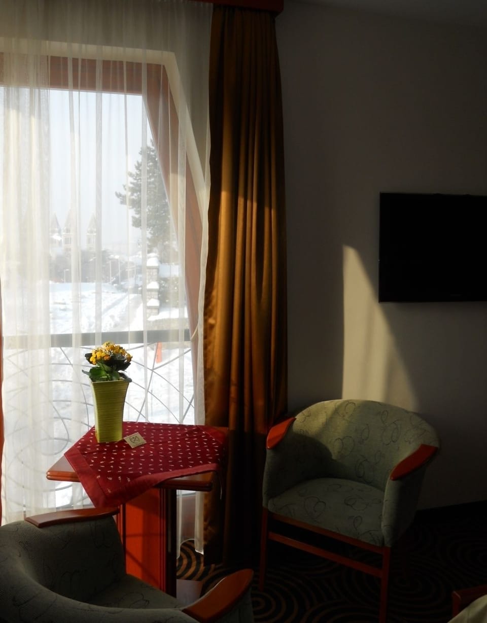Standard Double Room | Living area | LCD TV