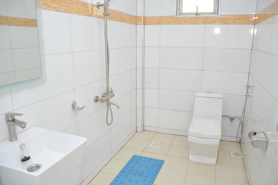 Shower, towels, soap, toilet paper