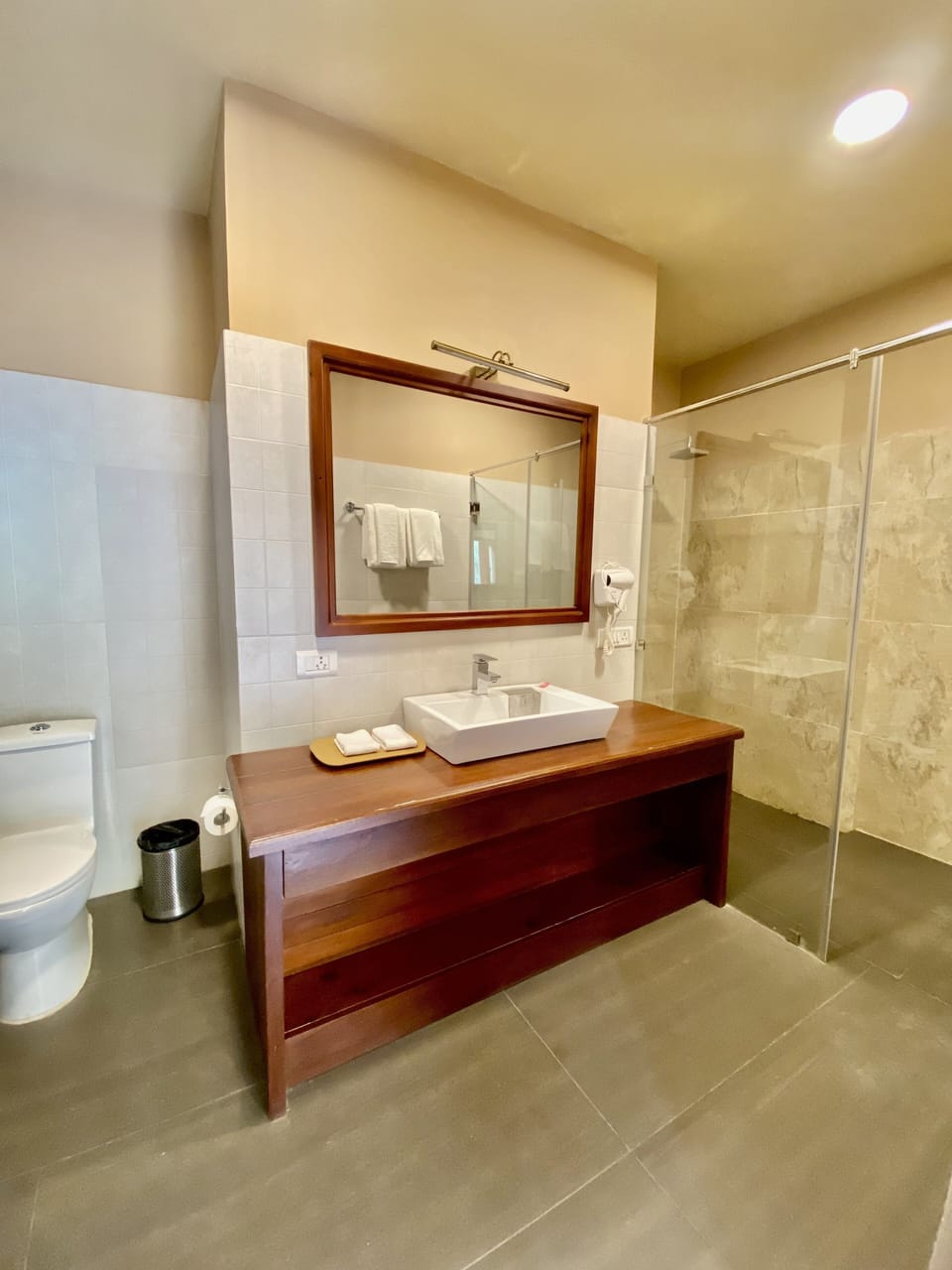 Deluxe Twin Room | Bathroom | Shower, free toiletries, towels