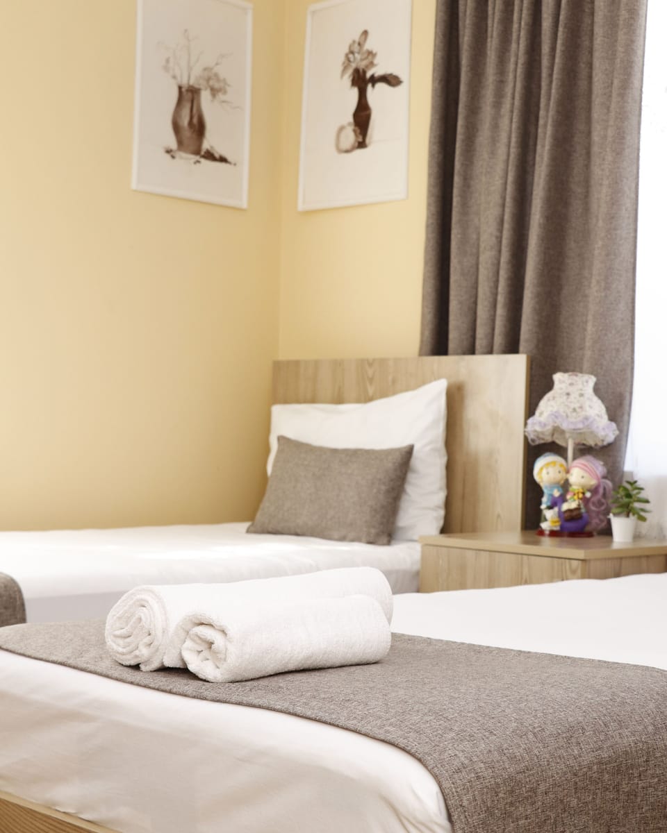 Standard Double or Twin Room, Mountain View | 1 bedroom, desk, laptop workspace, soundproofing