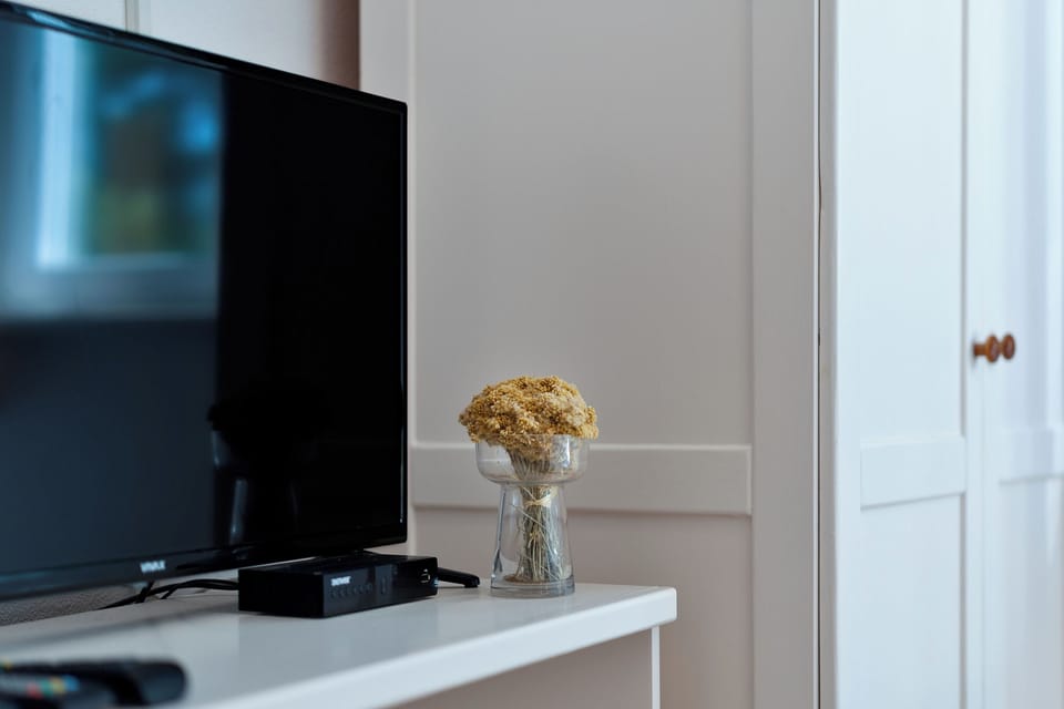 Television