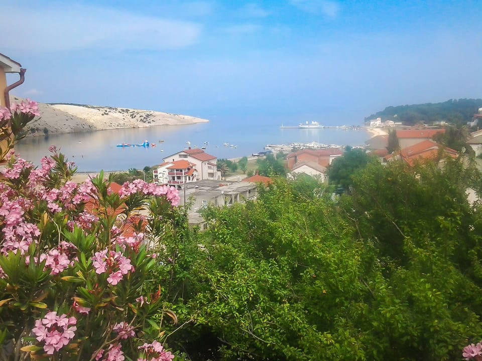 Water view