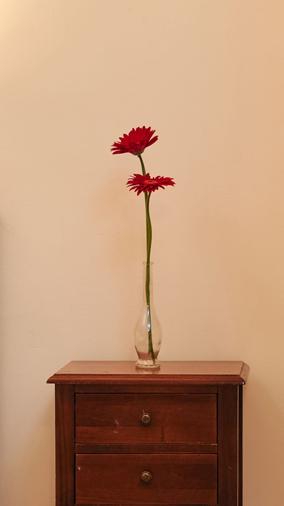 Standard Single Room (French Bed) | Desk, soundproofing, free WiFi, bed sheets