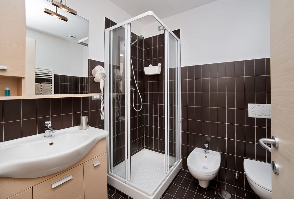 Shower, free toiletries, hair dryer, bidet