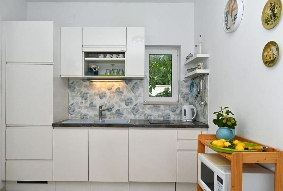 Apartment (A2) | Private kitchen | Fridge, microwave, stovetop, dishwasher