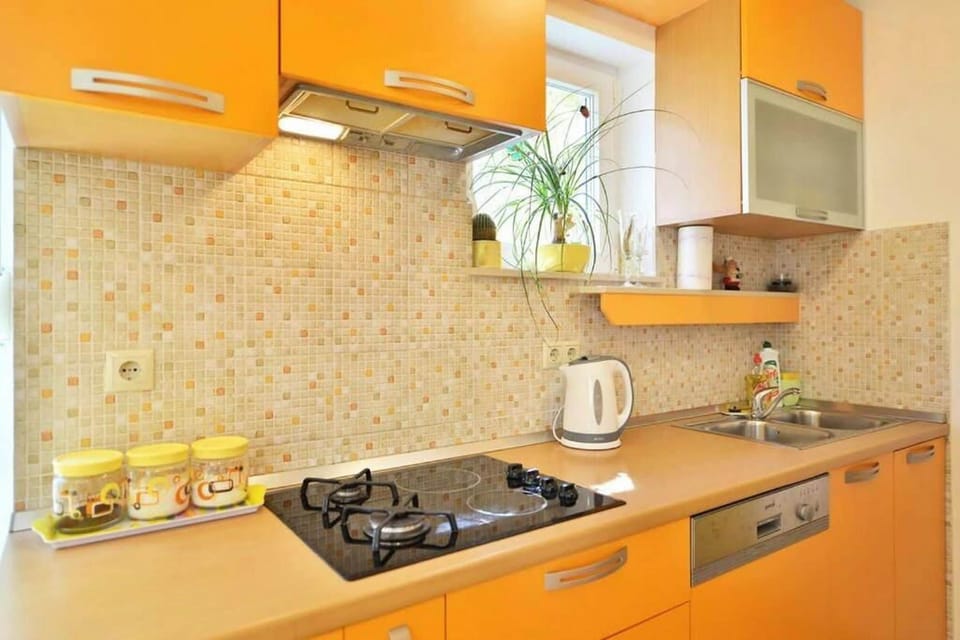 Apartment (A1) | Private kitchen | Fridge, oven, stovetop, dishwasher
