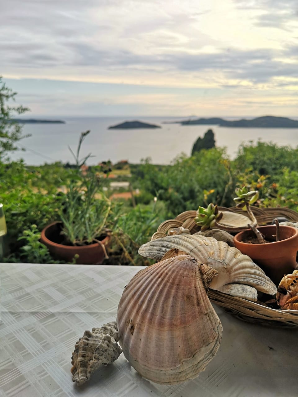 Water view