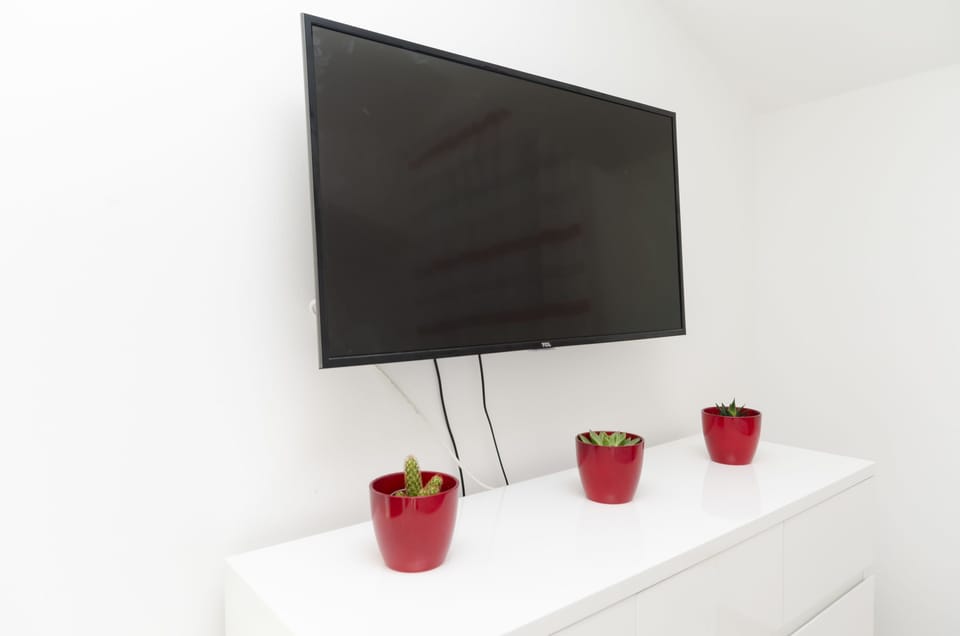 Television