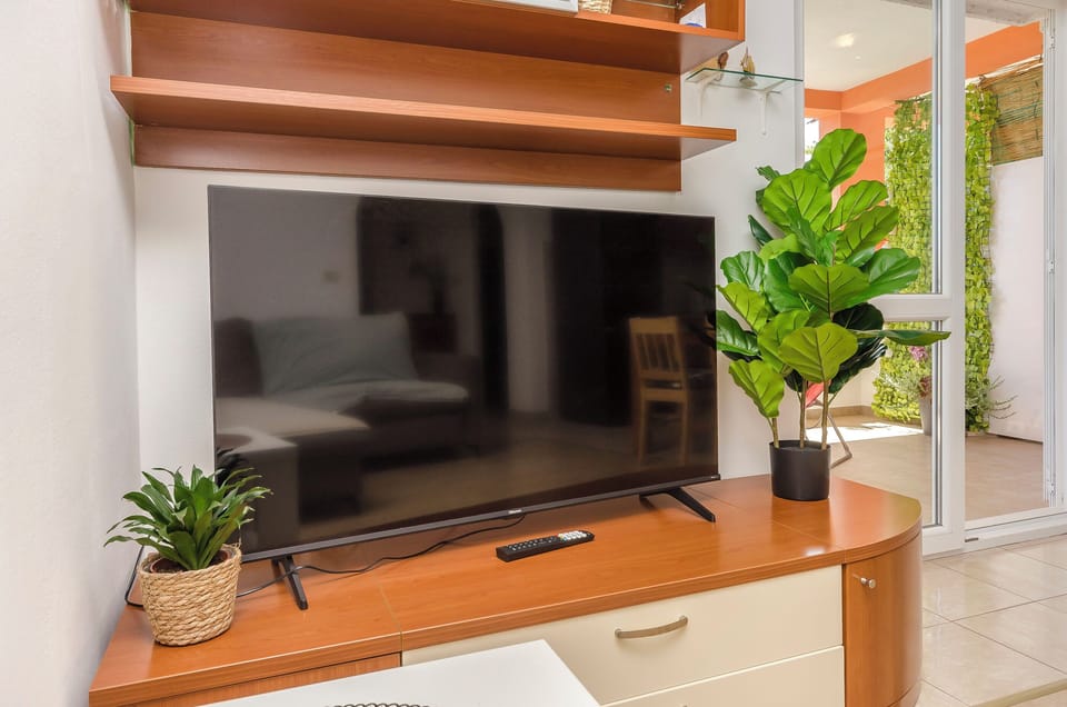 Television