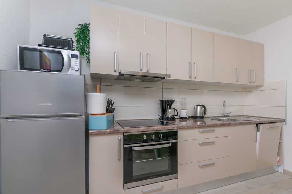 Apartment (A1) | Private kitchen | Fridge, microwave, oven, stovetop