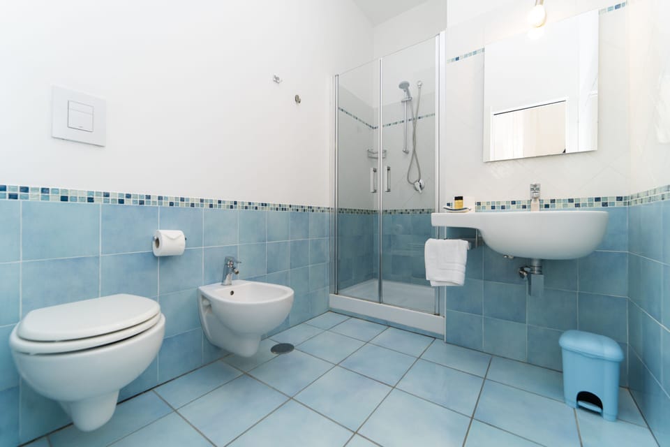 Deluxe Double Room | Bathroom | Shower, free toiletries, hair dryer, bidet