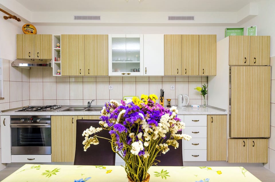 Fridge, oven, stovetop, dishwasher
