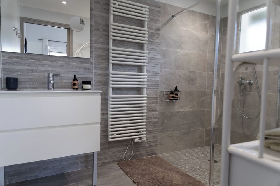 Shower, hair dryer, towels