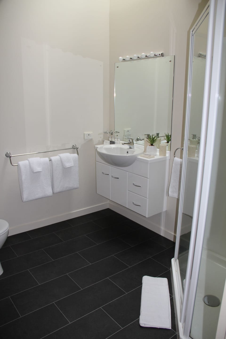 Shower, free toiletries, hair dryer, bathrobes