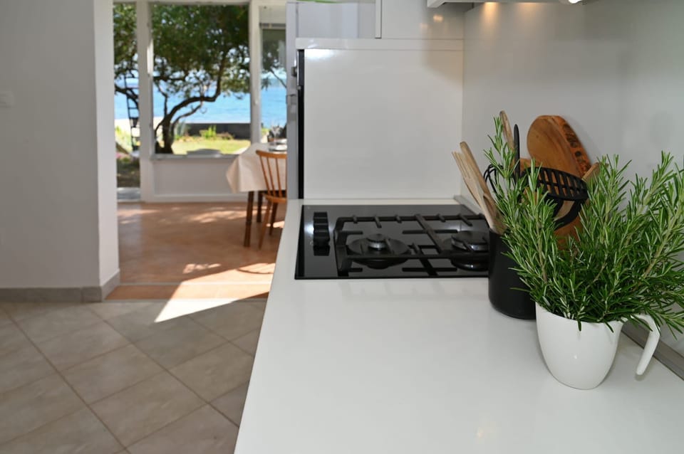 House | Private kitchen | Fridge, stovetop
