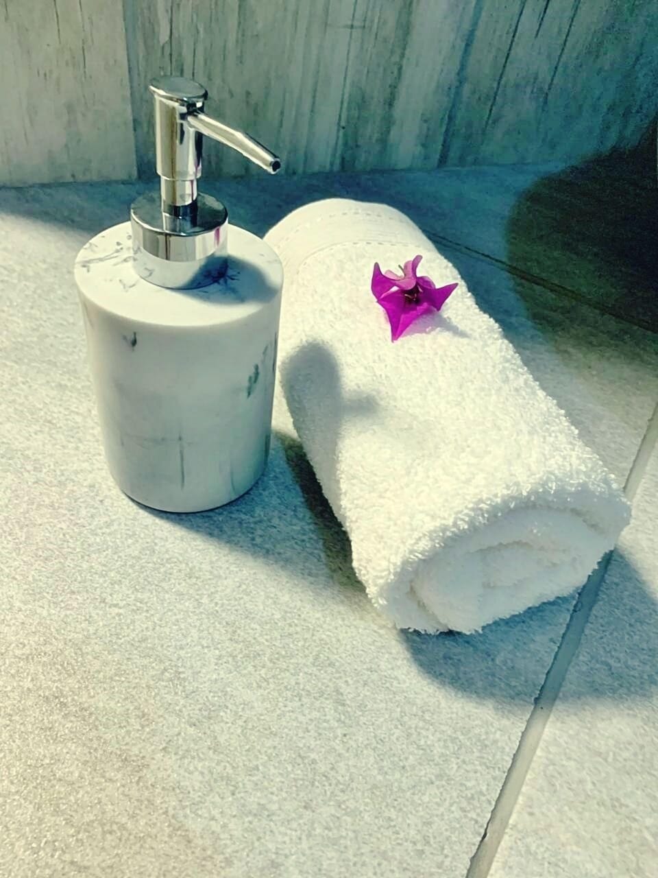 Shower, free toiletries, towels