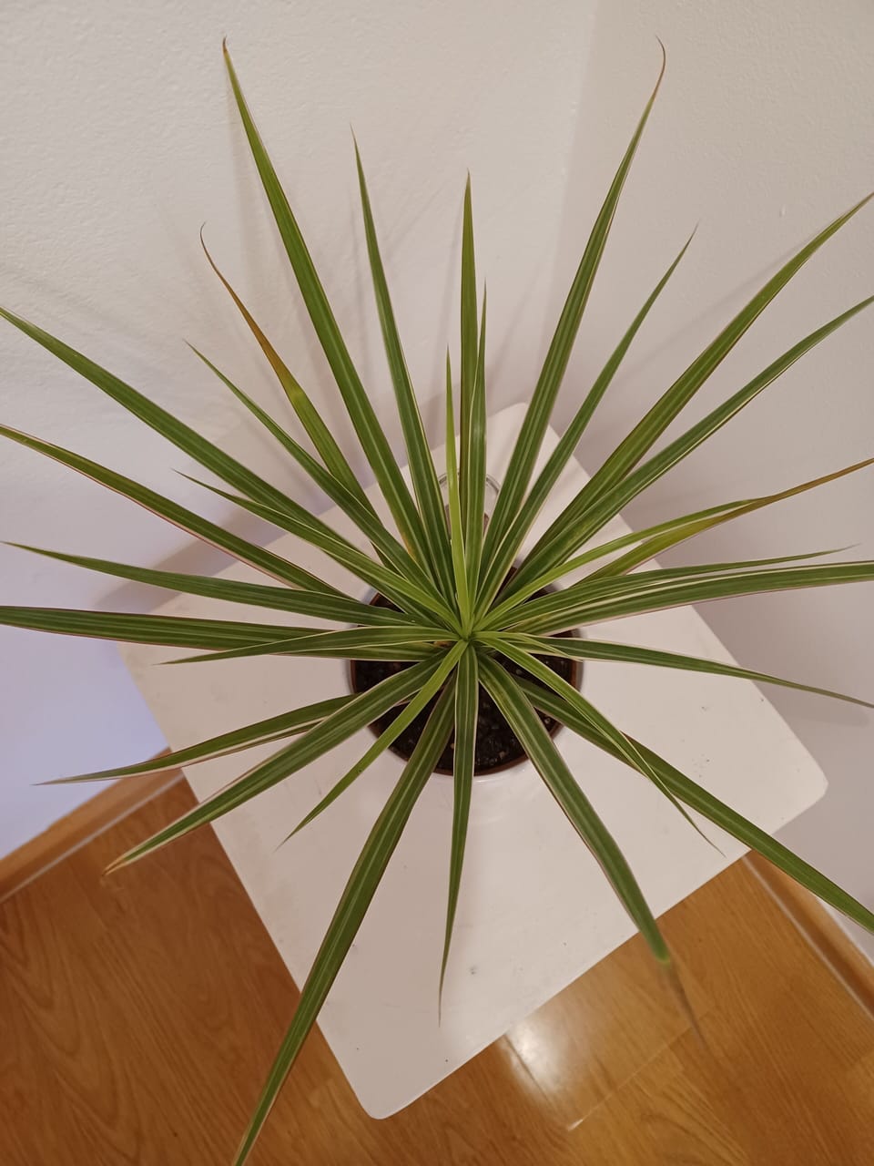 Apartment with kitchen and balcony | Private kitchen | Fridge, coffee/tea maker, electric kettle