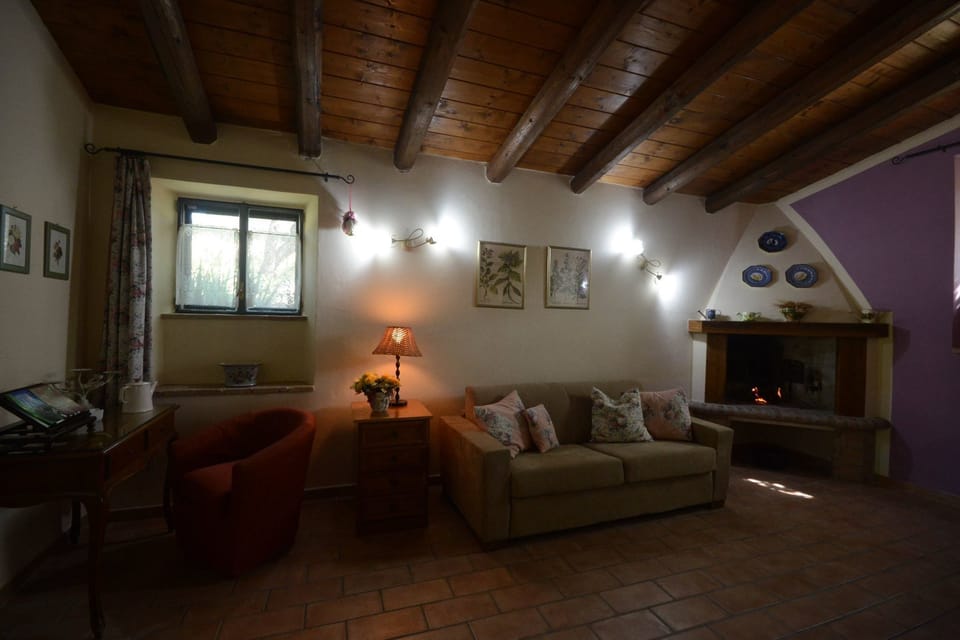 Duplex, 1 Bedroom (Rosa) | Living area | Fireplace, books