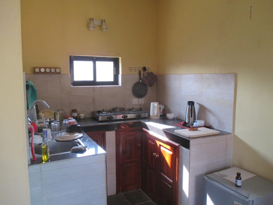 Stovetop, rice cooker, cookware/dishes/utensils