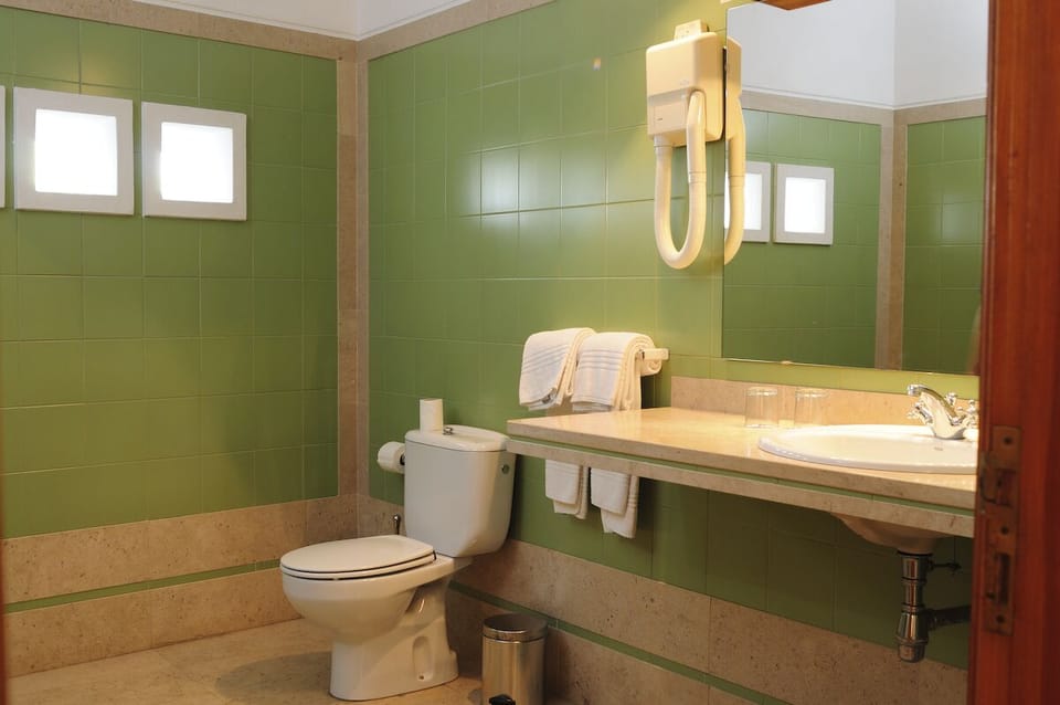 Hair dryer, bidet, towels