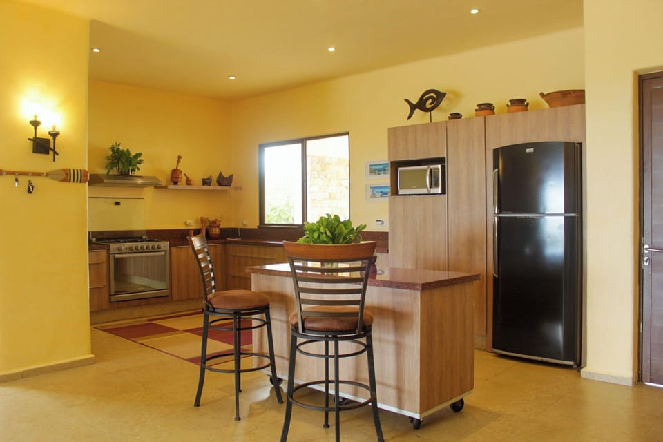 Deluxe Villa | Private kitchen | Coffee/tea maker, full-size fridge, microwave, oven