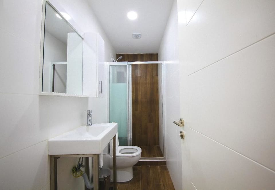 Standard Double or Twin Room | Bathroom | Shower, hydromassage showerhead, hair dryer, towels