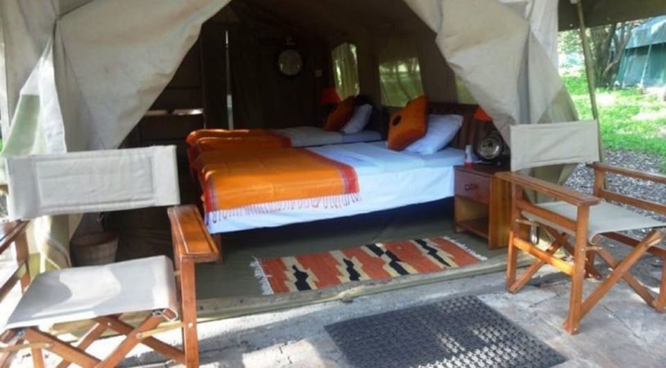 Standard Tent | Premium bedding, bed sheets
