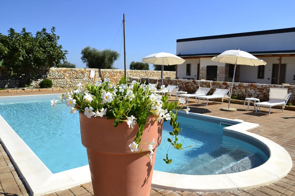 Seasonal outdoor pool, pool umbrellas, sun loungers
