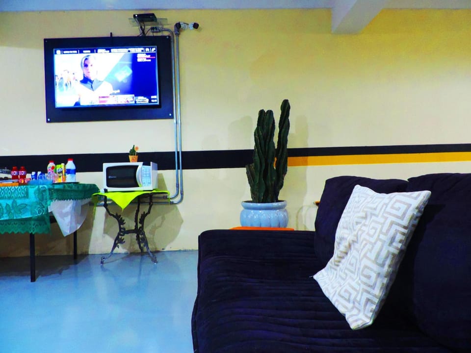 LCD TV