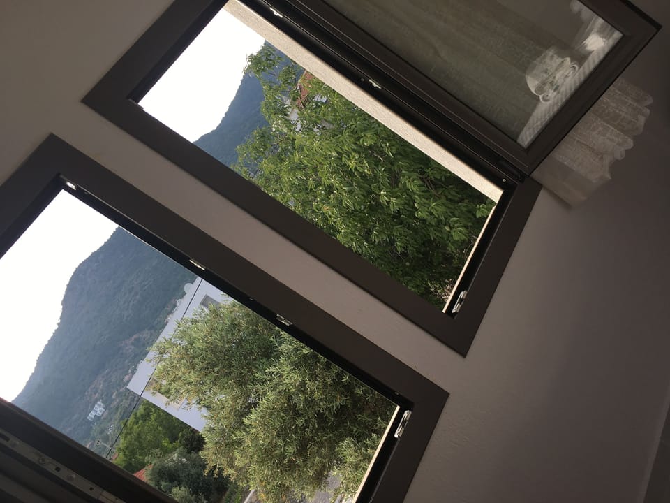 Apartment, 1 Bedroom | View from room