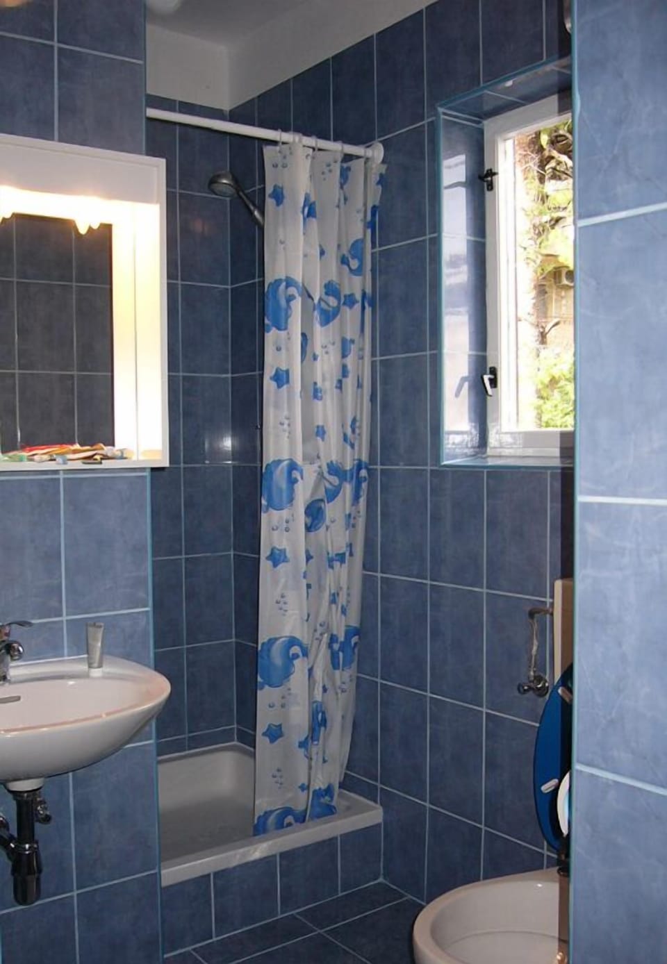 Shower, soap, toilet paper