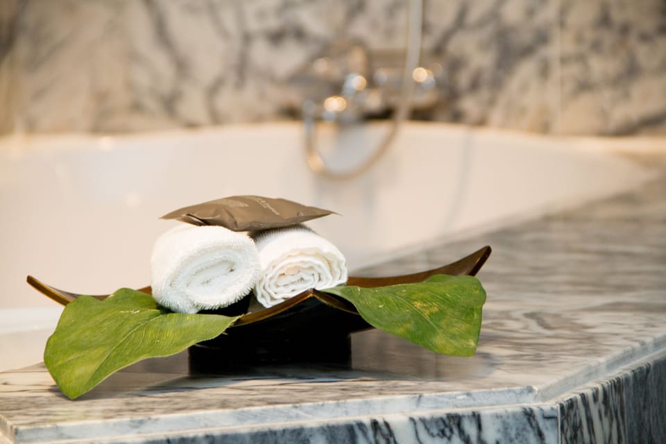 Suite (New Wing) | Bathroom | Combined shower/tub, free toiletries, hair dryer, bathrobes