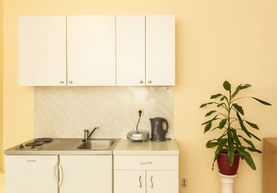 Studio | Private kitchenette | Fridge, microwave, stovetop, electric kettle