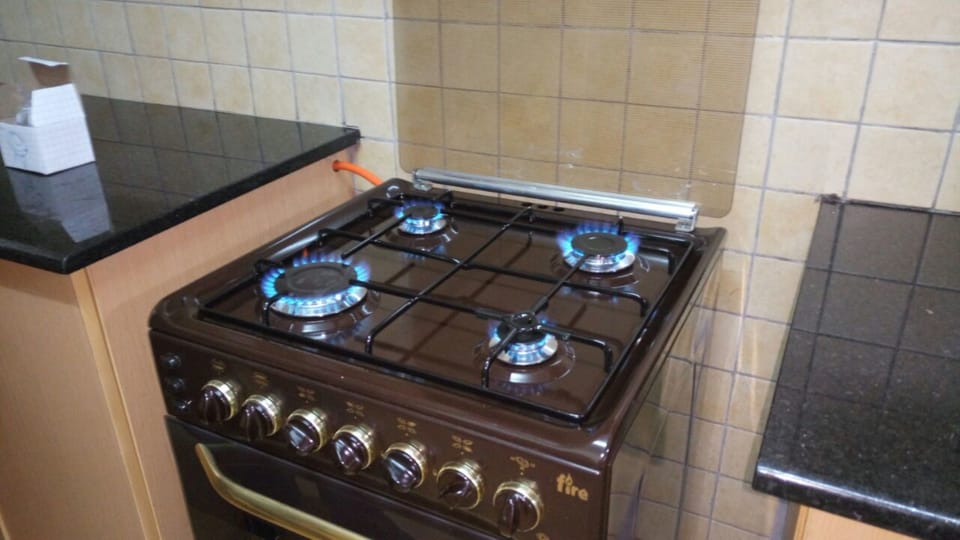 Apartment, 2 Bedrooms | Private kitchen | Fridge, microwave, oven, stovetop