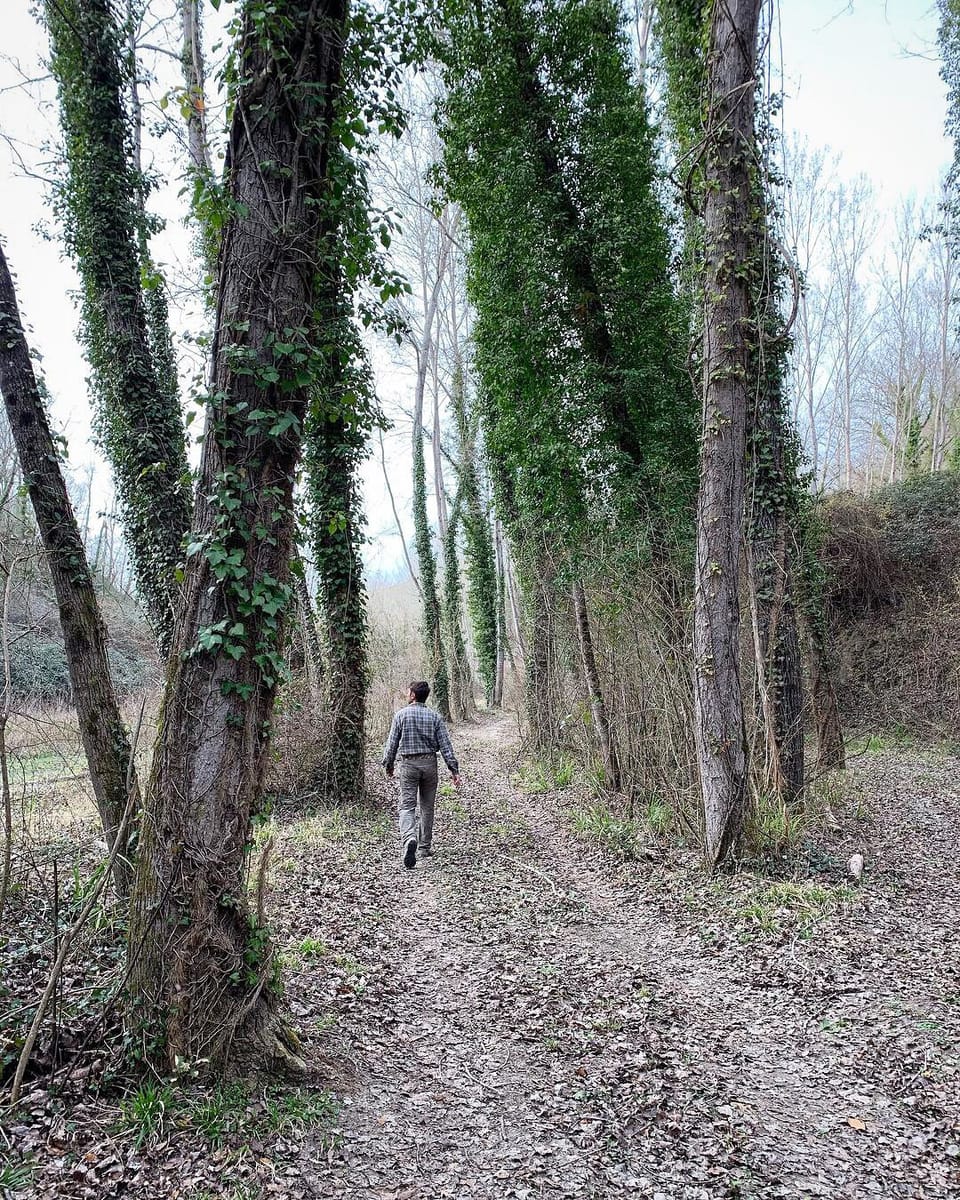 Hiking